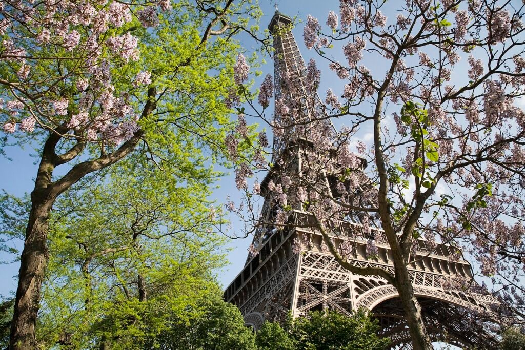 The Eiffel Tower in Paris in spring